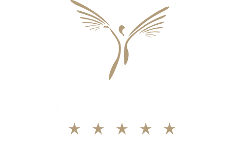 Superior Spirit Hotel Thermal Spa - 1
