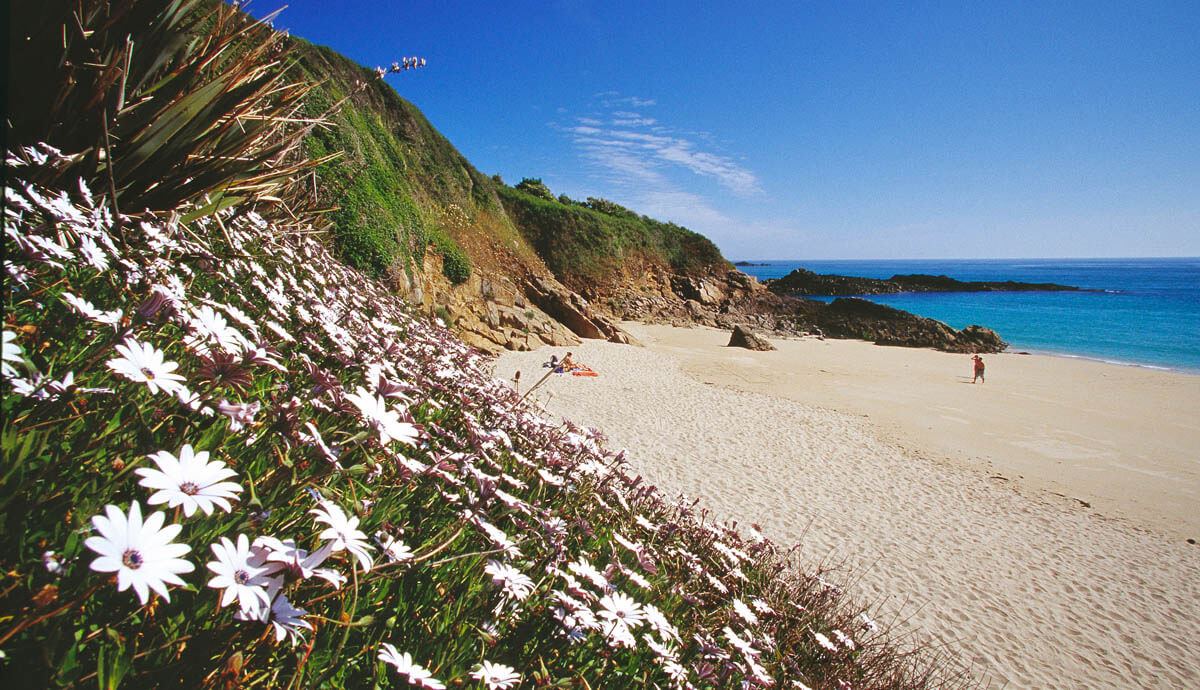 The White House Hotel - 3