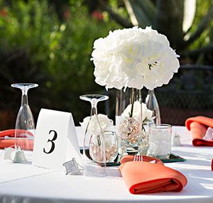 Tucson Botanical Garden - 3