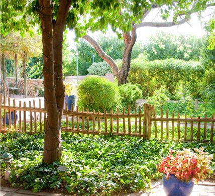 Tucson Botanical Garden - 7