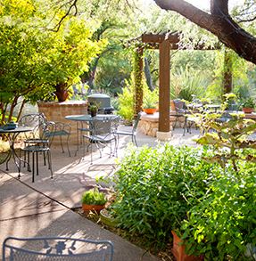 Tucson Botanical Garden - 6