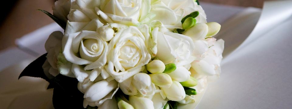 Radisson Hotel Phoenix North - 7