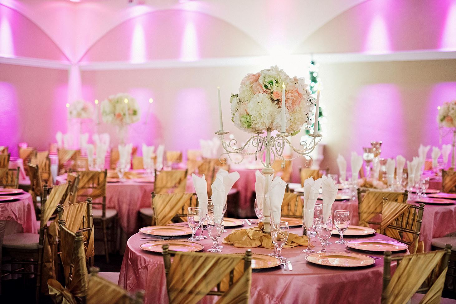 Villa Tuscana Reception Hall - 2