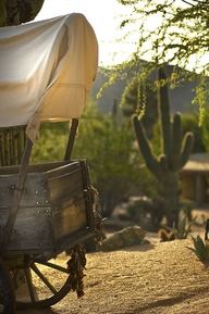 Carefree Resort And Conference Center - 6