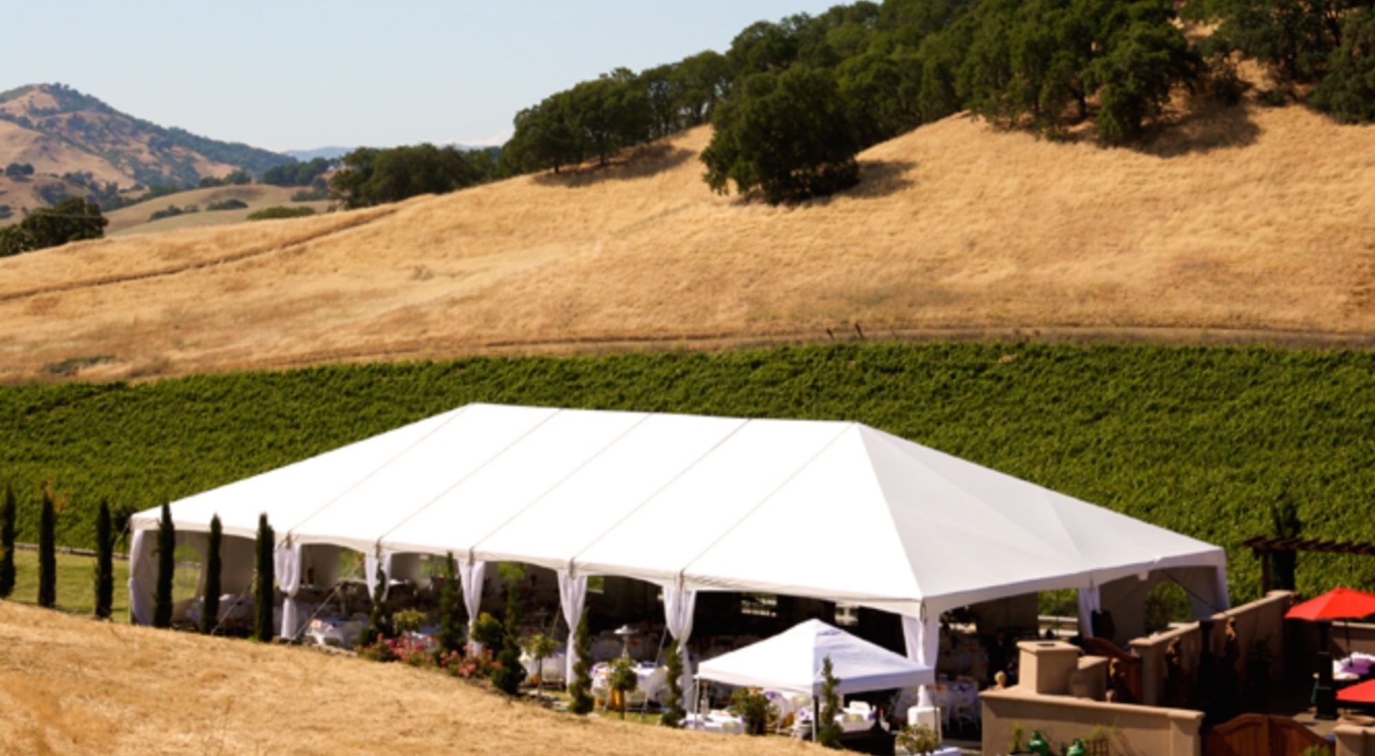 Vezer Blue Victorian - 4