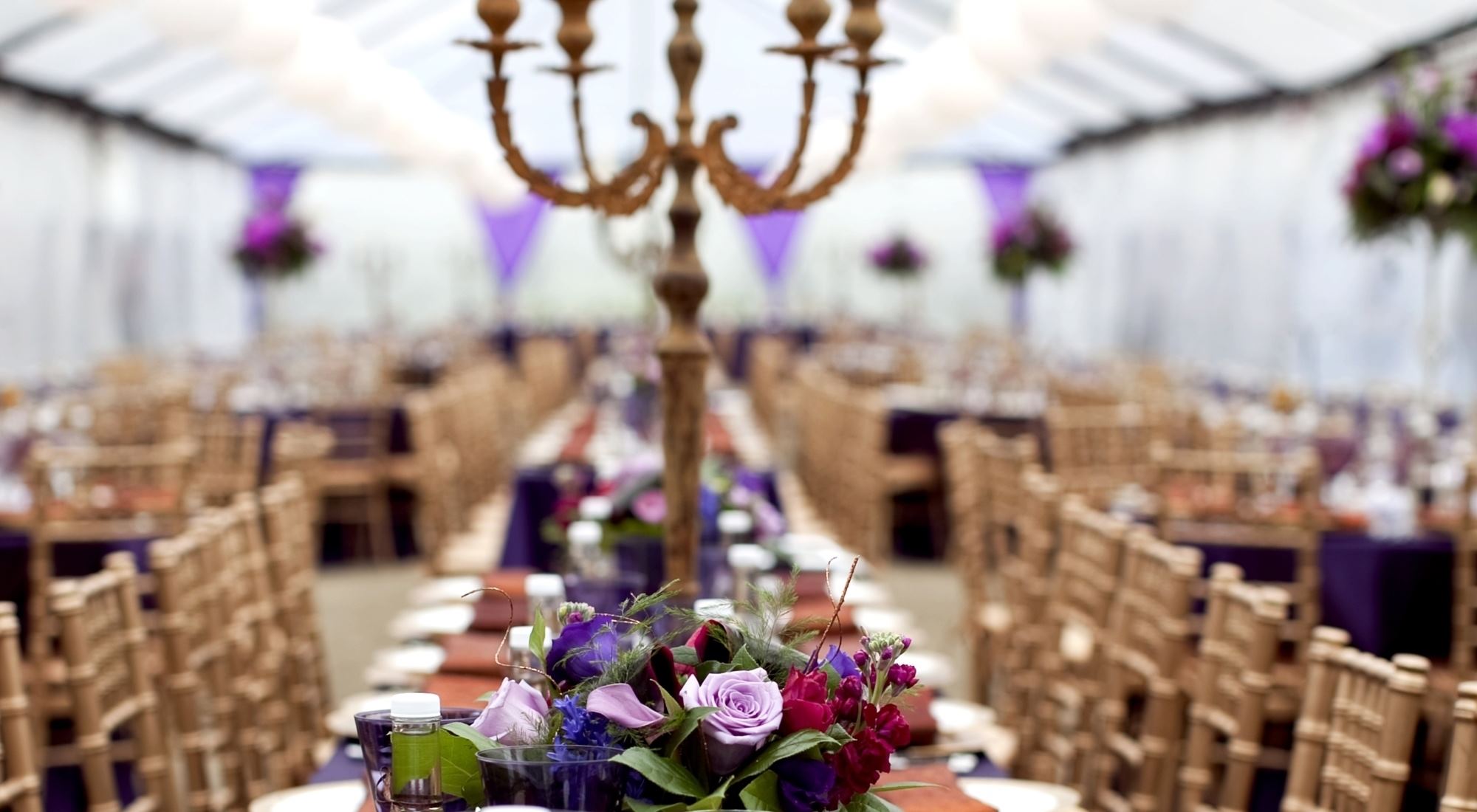 Vezer Blue Victorian - 6