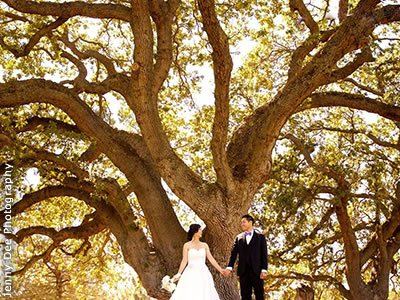 The Clubhouse At Boundary Oak - 6