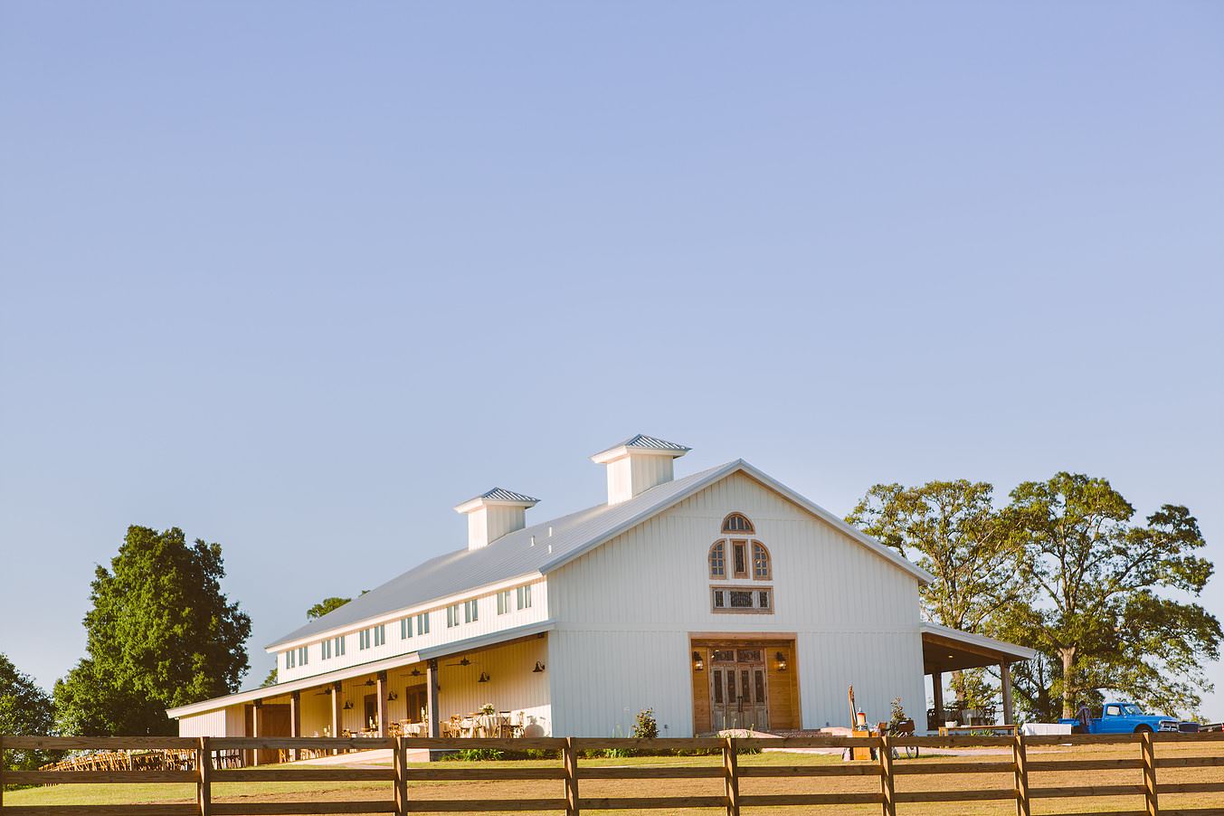 The White Magnolia - 7