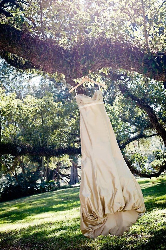 Oak Alley Plantation - 3