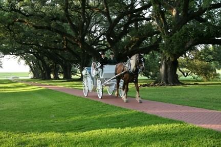 Oak Alley Plantation - 7