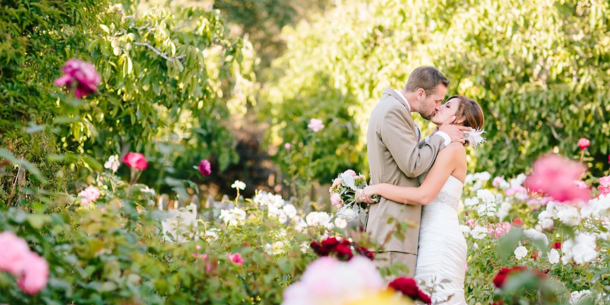 The Gardens At Peacock Farm - 4