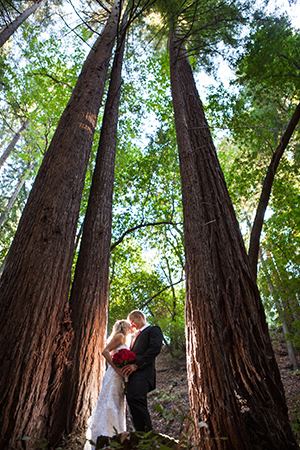 Saratogo Springs - 1