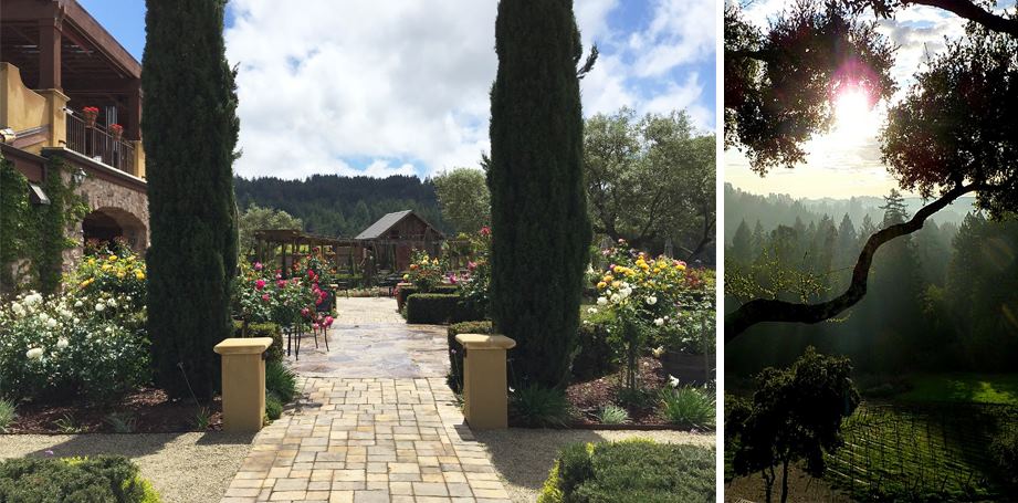 Regale Winery and Vineyards - 5