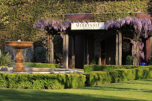 Merryvale Vineyards - 1