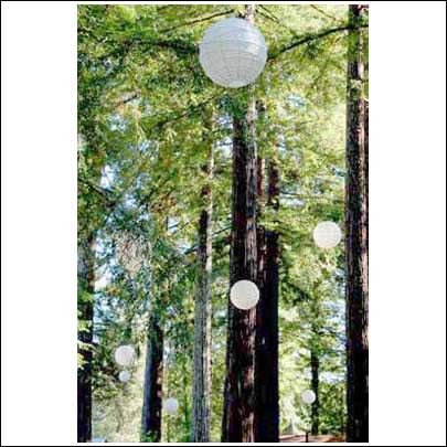 Miranda Gardens Resort - 6