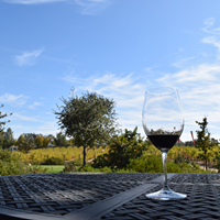 EOS Estate Winery - 1