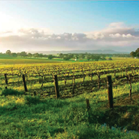 EOS Estate Winery - 5