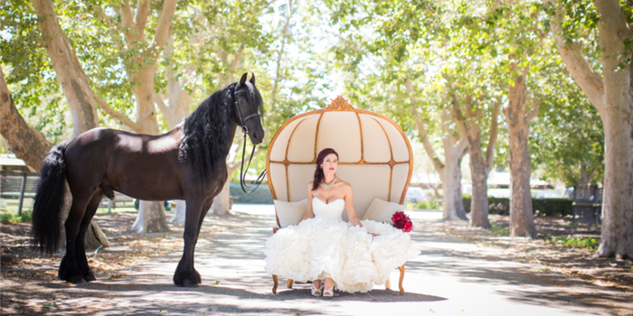 Whispering Rose Ranch - 1