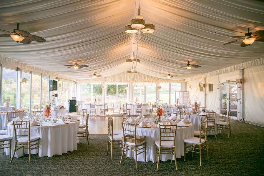 Wedgewood Glen Ivy - 5