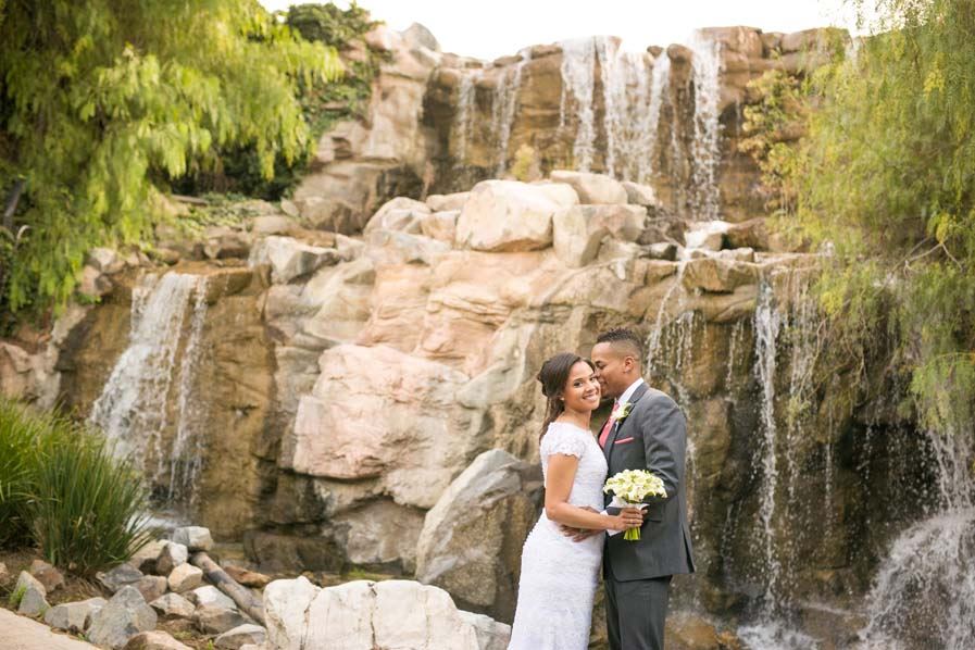 Wedgewood Glen Ivy - 4