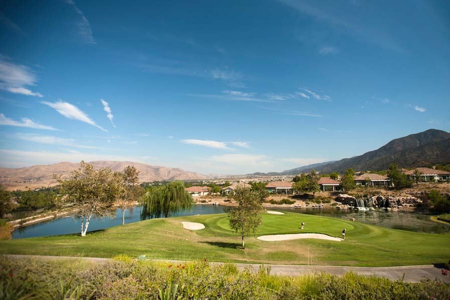 Wedgewood Glen Ivy - 1