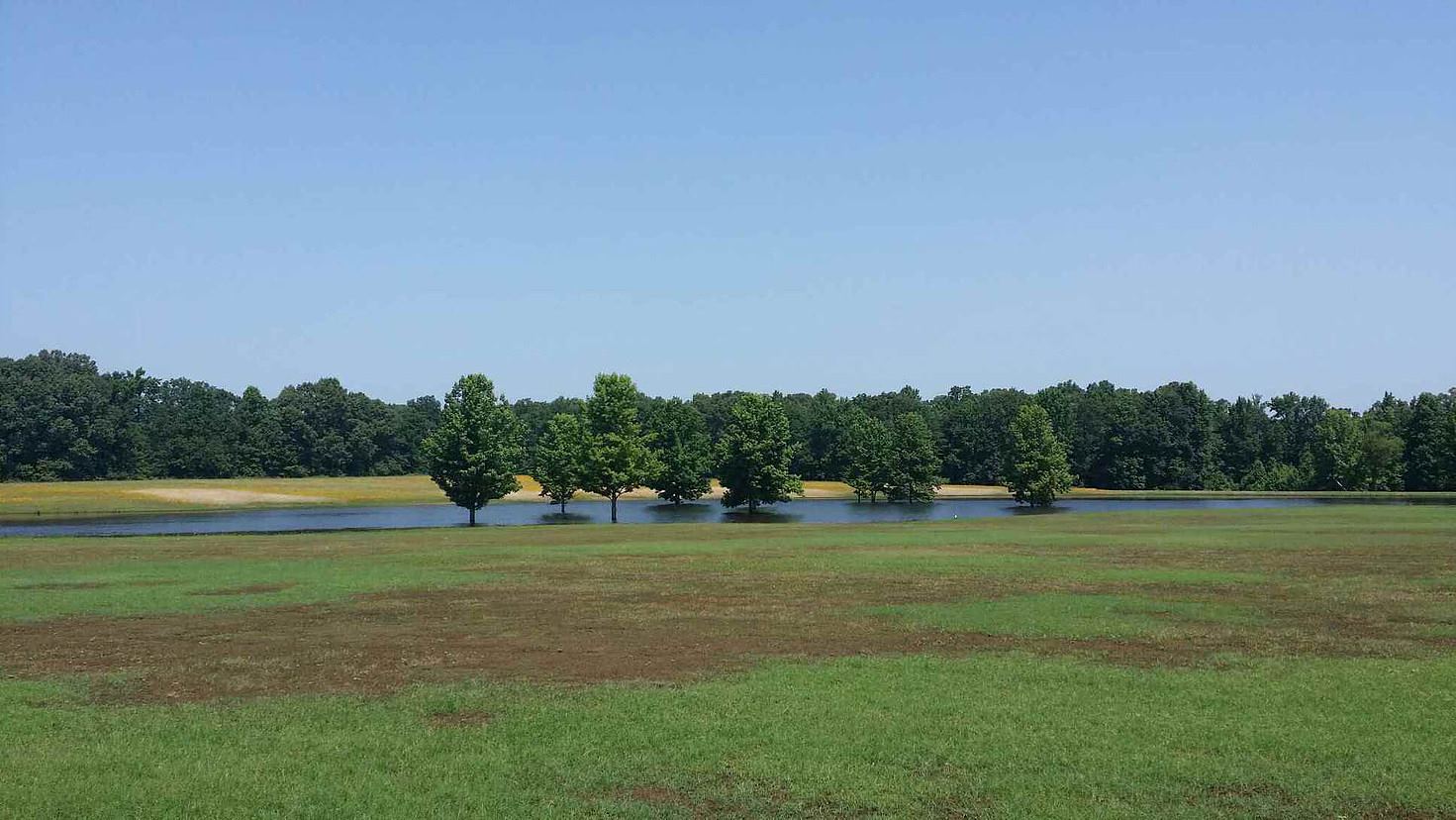 Southern Charm Wedding And Event House - 7