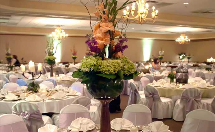 Inn of the Ozarks Hotel - 3