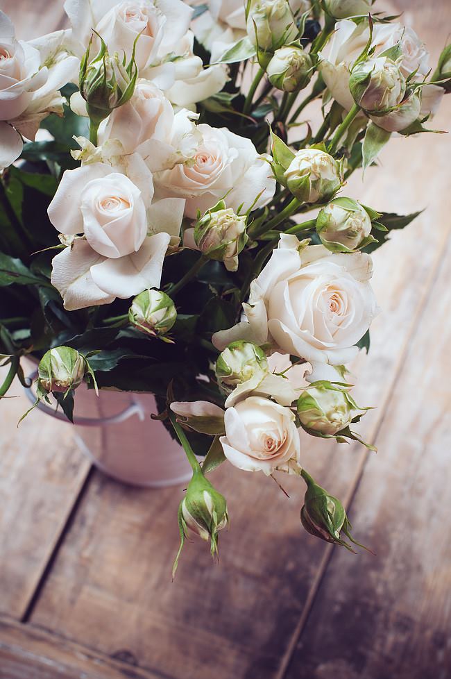 The Cedars Of Marion - 6