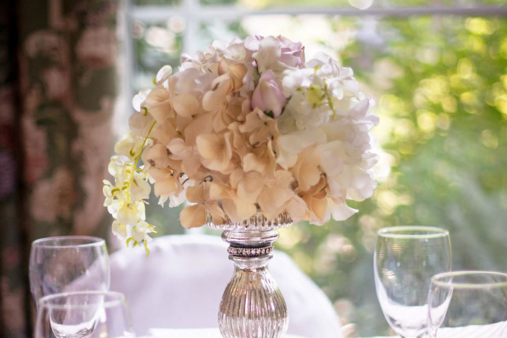 The Cedars Of Marion - 4