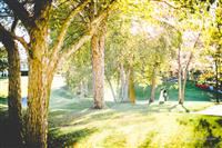 Pinnacle Country Club - 4