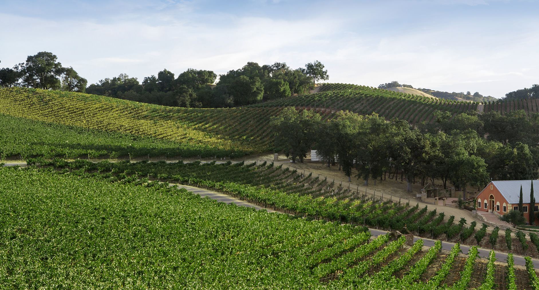 JUSTIN Vineyards And Winery - 6