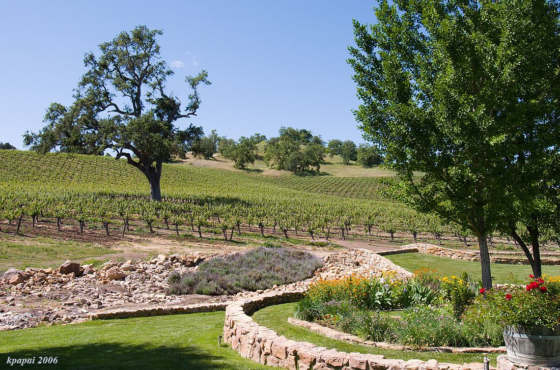 JUSTIN Vineyards And Winery - 2