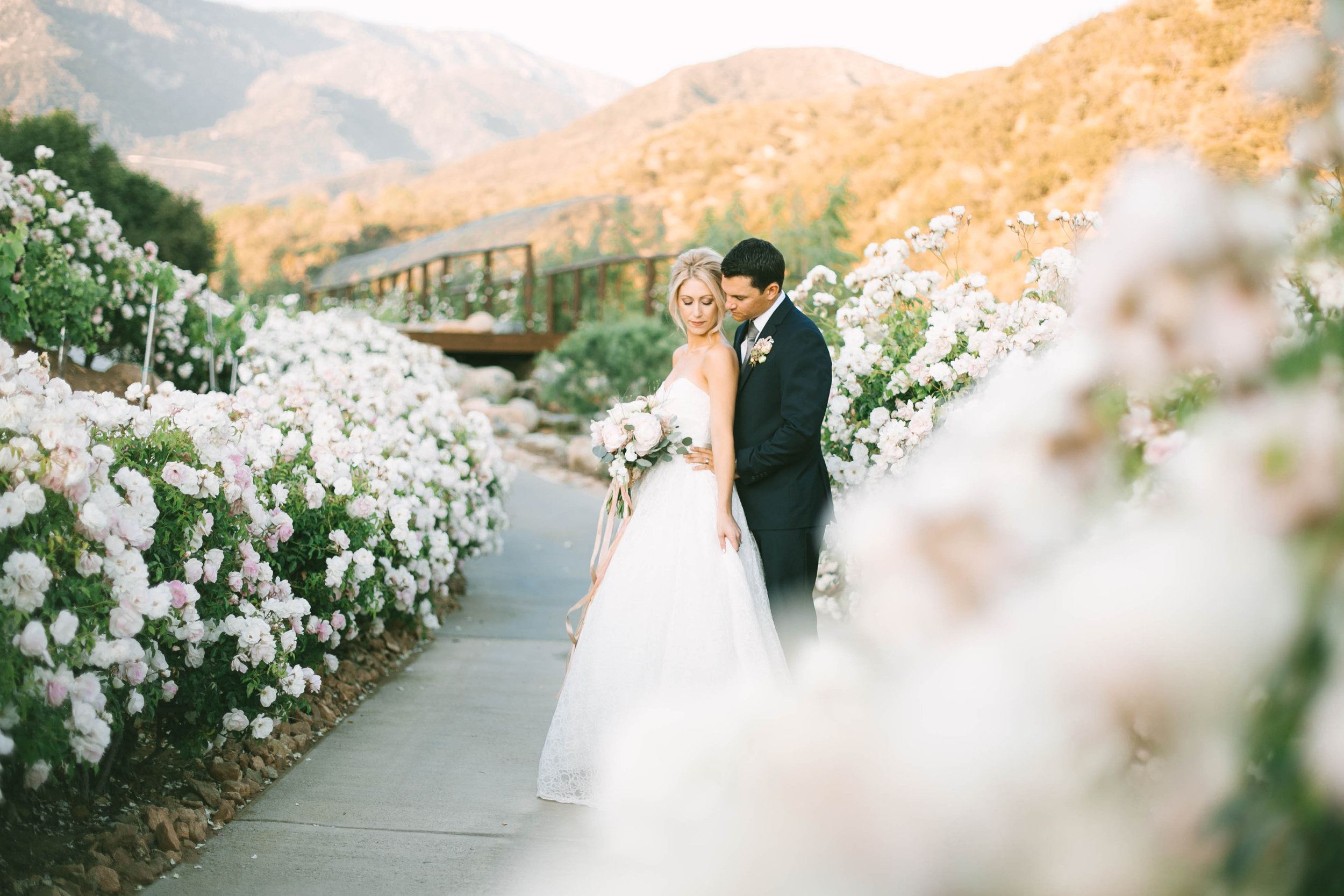 Seredipity Garden Weddings - 1