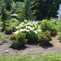 Layla's Riverside Lodge - 4