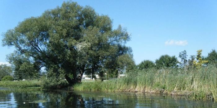 Gardner Memorial Park - 4