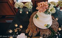 Stowe Mountain Resort - 5