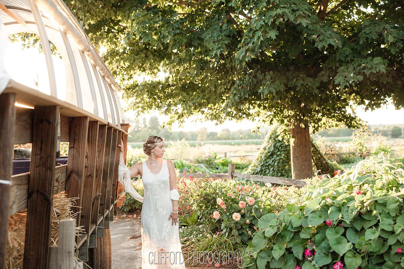 Timber Hill Farm - 3