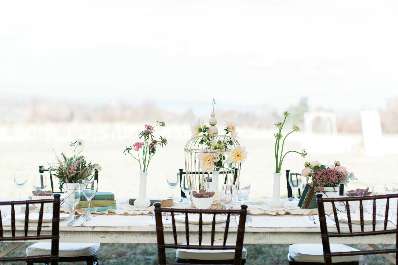 Timber Hill Farm - 6