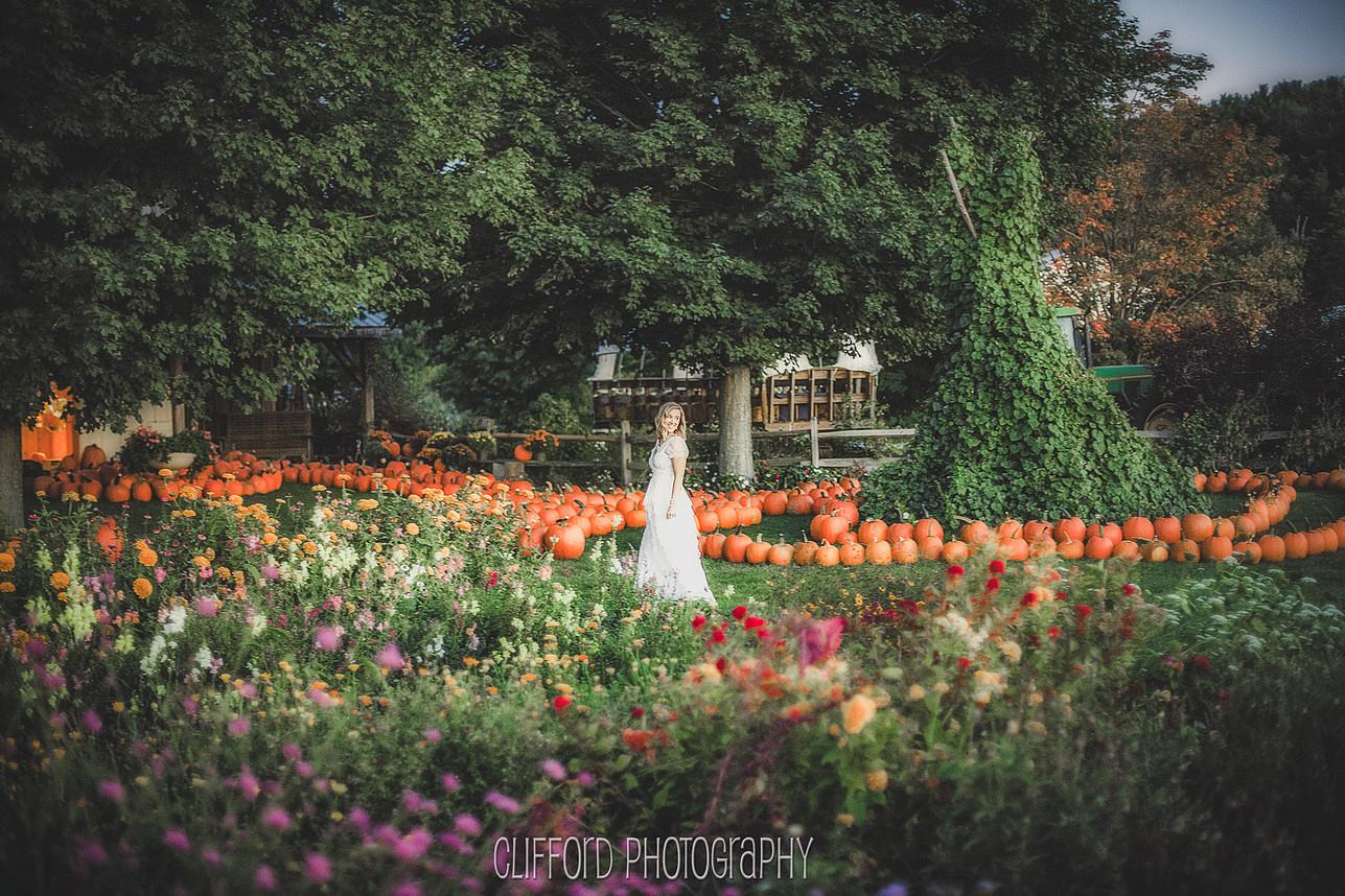 Timber Hill Farm - 2