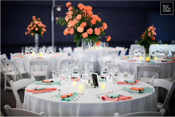 Starlite Events at the Saint Louis Science Center - 2