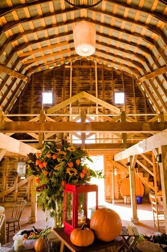 Three Barn Farms - 3