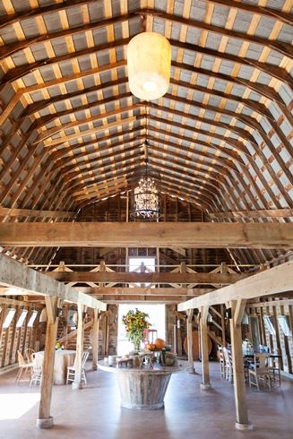 Three Barn Farms - 6