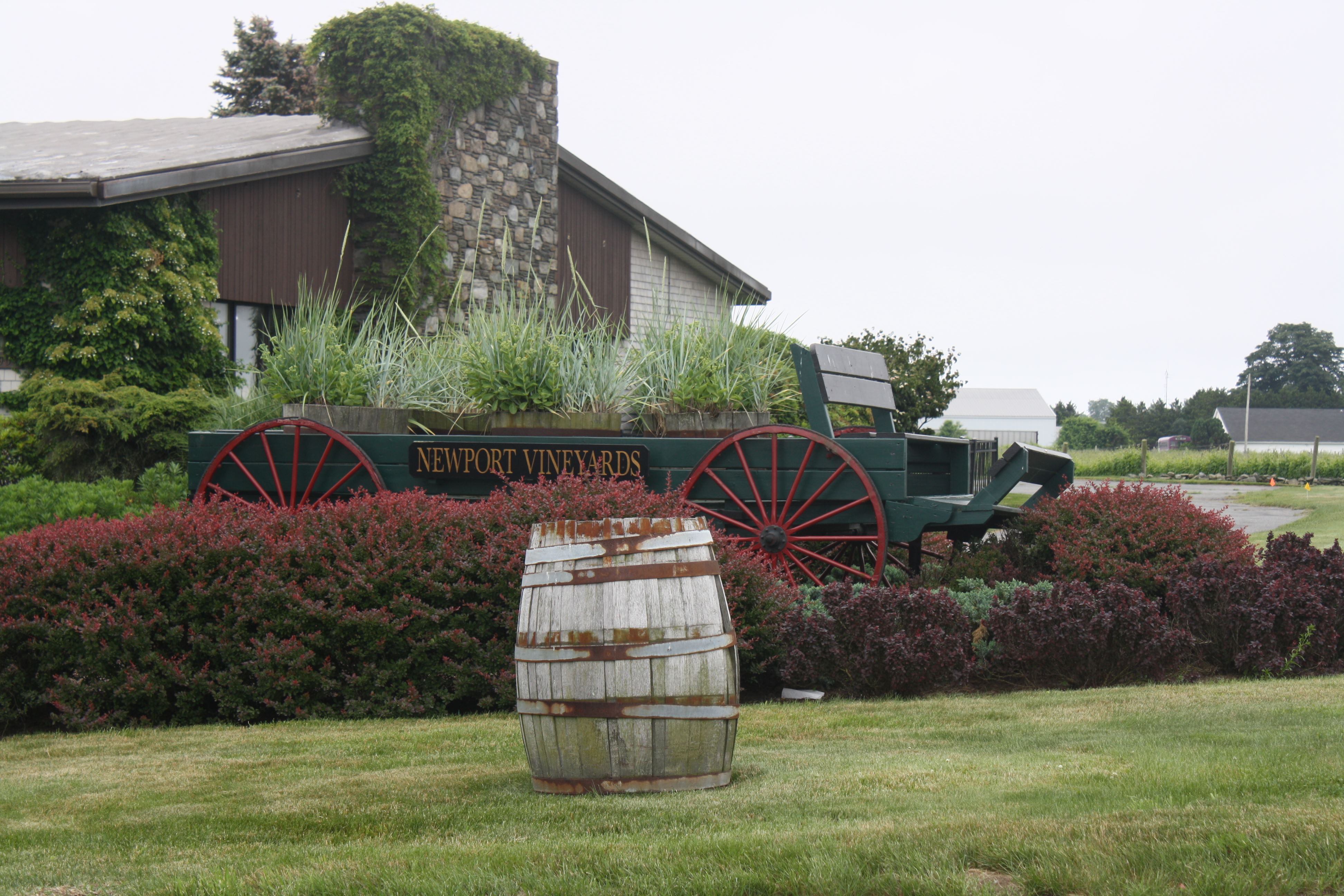 Newport Vineyards - 4