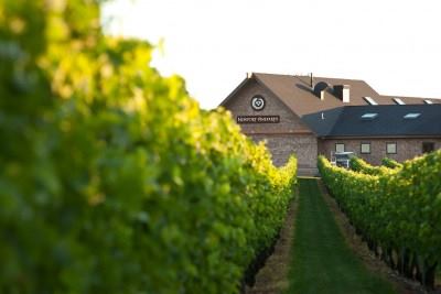 Newport Vineyards - 2