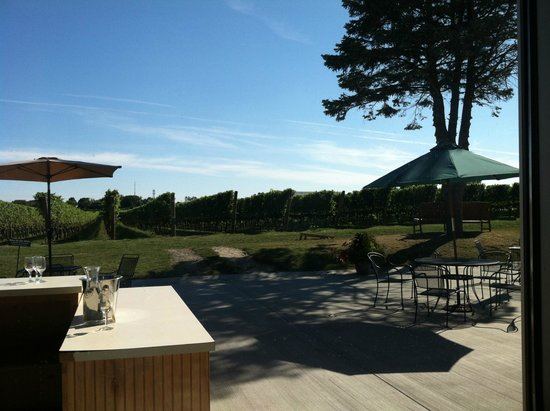 Newport Vineyards - 7