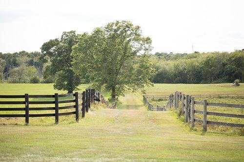 South County Flowers - 2