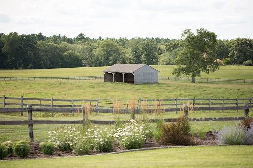 South County Flowers - 1