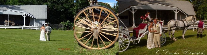 Stepping Stone Ranch - 6