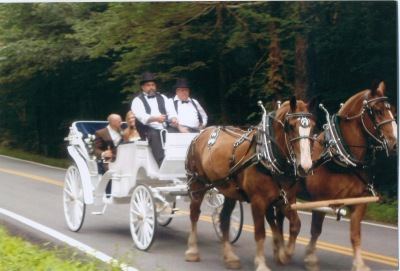 Stepping Stone Ranch - 1