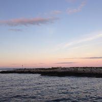 Gilsland Farm Audubon Center - 4